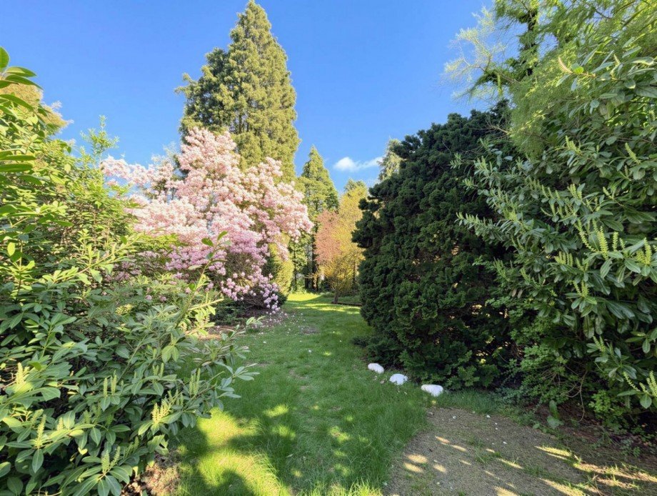 Garten Doppelhaush�lfte Bremen